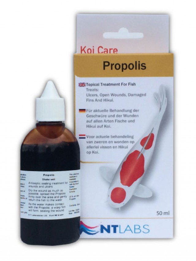 propolis