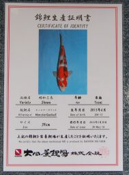 Dainichi Tategoi Showa No 2 Certificate